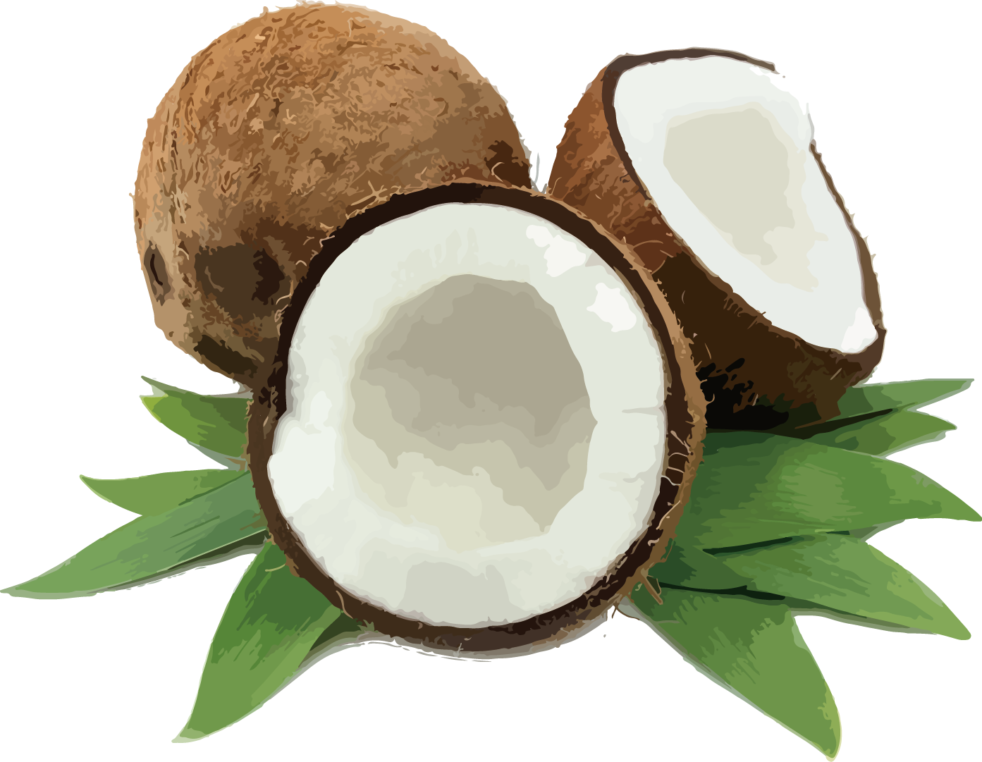 椰子油 (Coconut Oil)